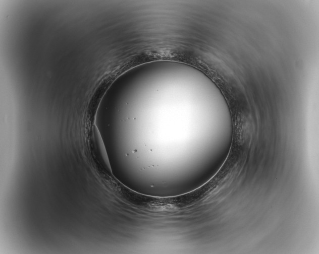 X0000094330747200711021409