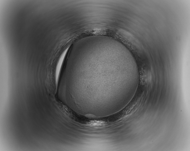X0000094330748200711021409
