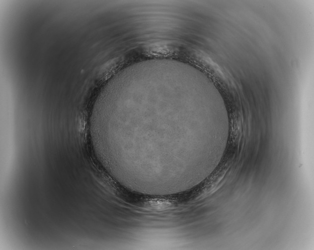 X0000094330749200711021409