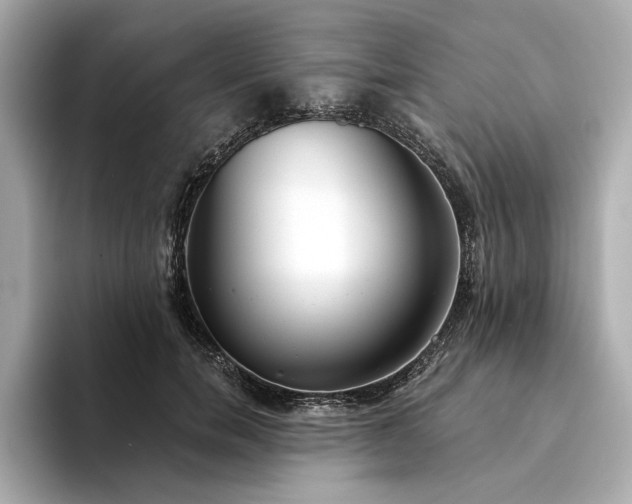 X0000094330750200711021409