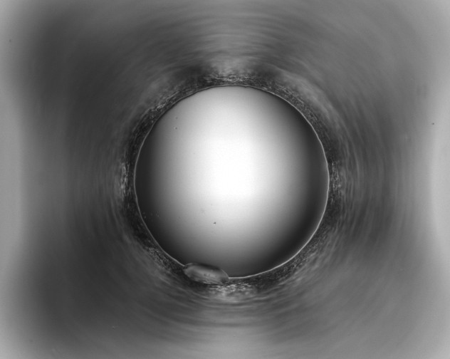 X0000094330752200711021410