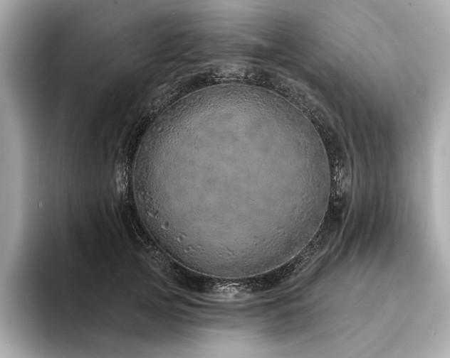 X0000094330753200711021410