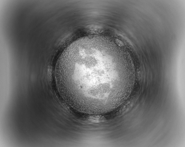 X0000094330757200711021410