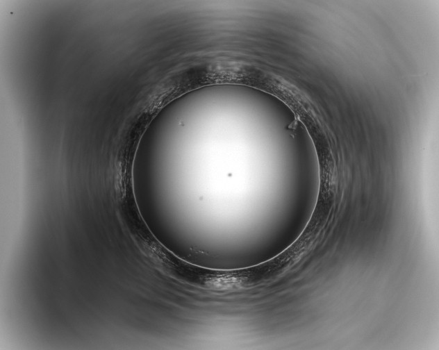 X0000094330759200711021410