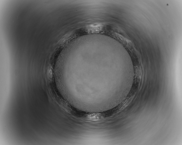 X0000094330761200711021410