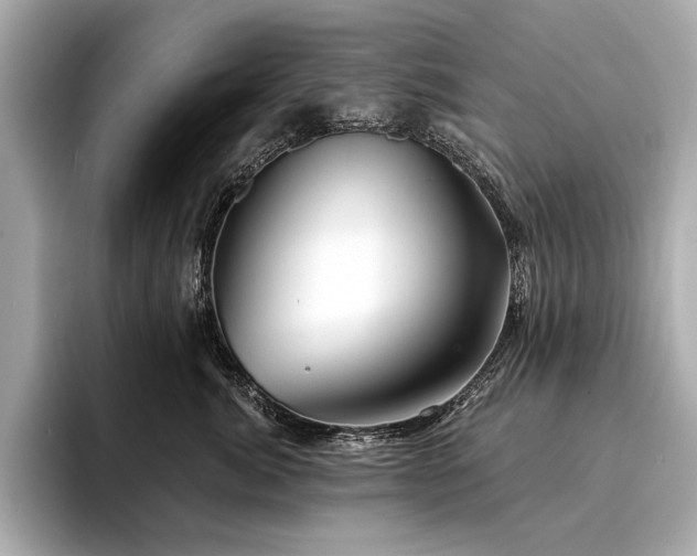 X0000094330764200711021410