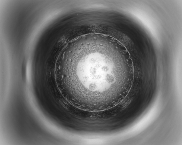 X0000094330765200711021410