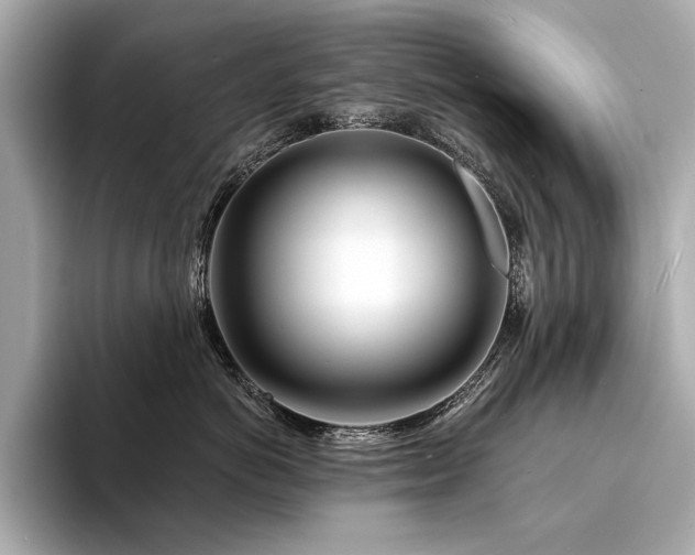 X0000094330766200711021410