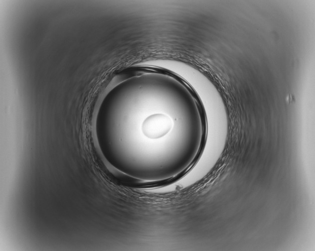 X0000094330769200711021409