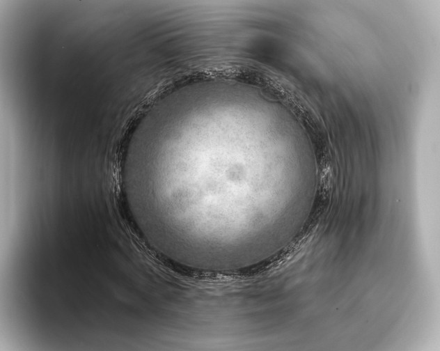 X0000094330772200711021409