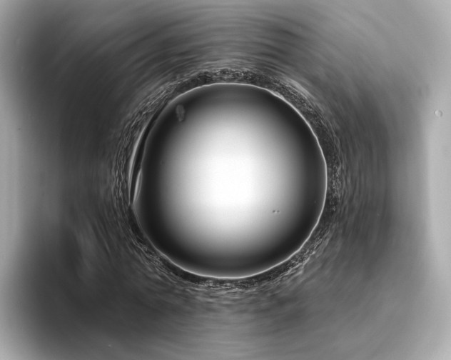 X0000094330774200711021409