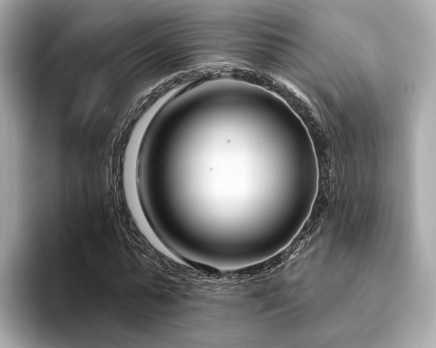 X0000094330775200711021409