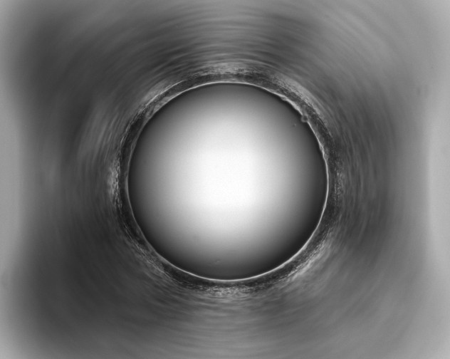 X0000094330778200711021409