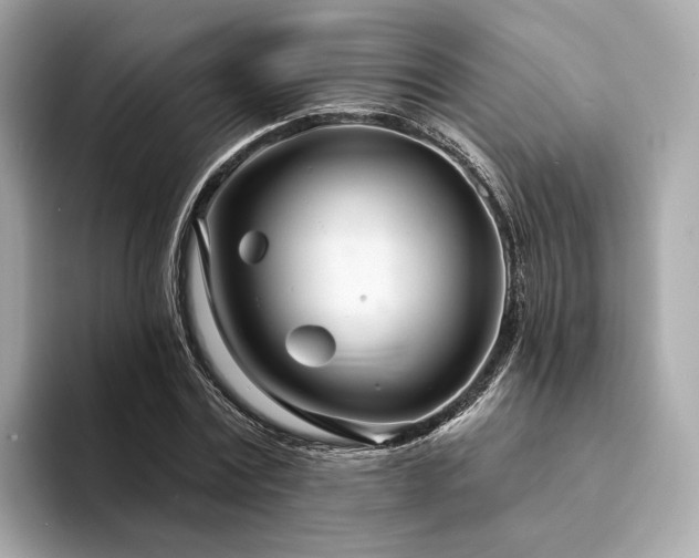 X0000094330779200711021409