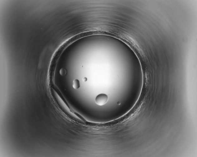 X0000094330780200711021409