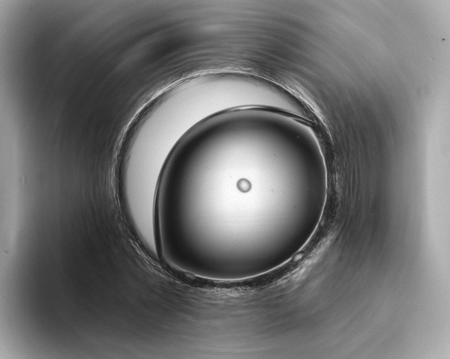 X0000094330781200711021409