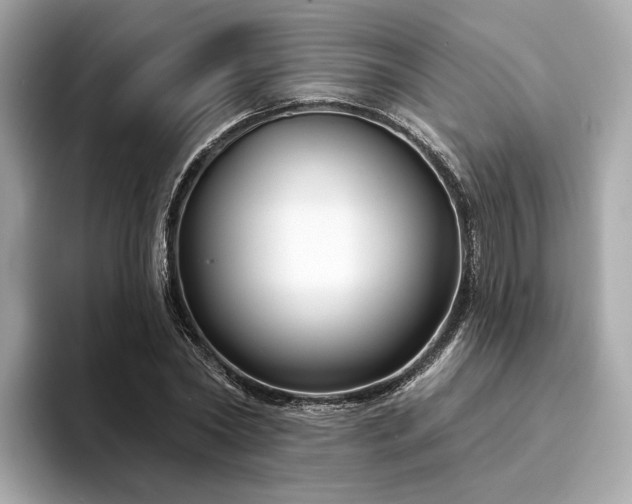 X0000094330782200711021409