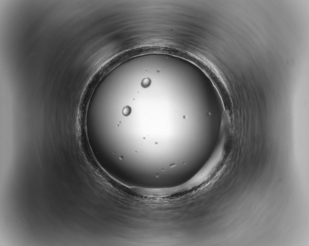 X0000094330783200711021409