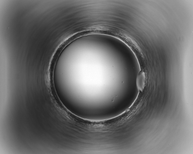 X0000094330784200711021409