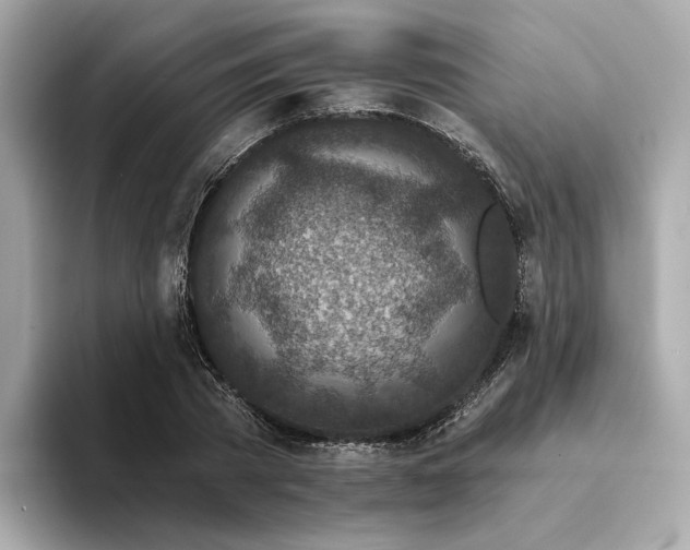 X0000094330785200711021409