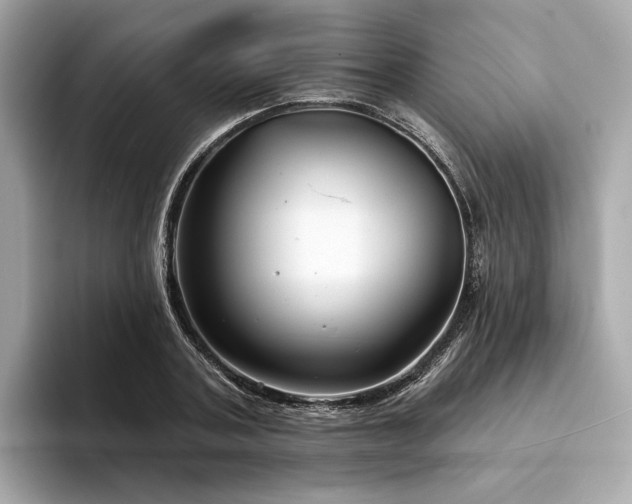 X0000094330787200711021409