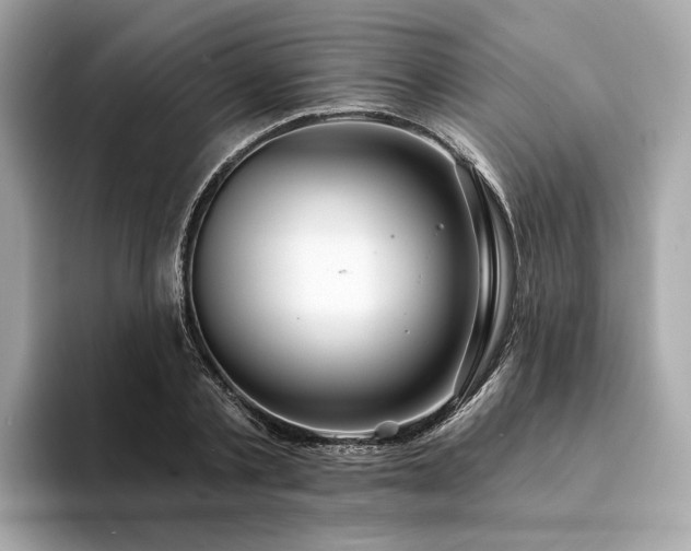 X0000094330789200711021409