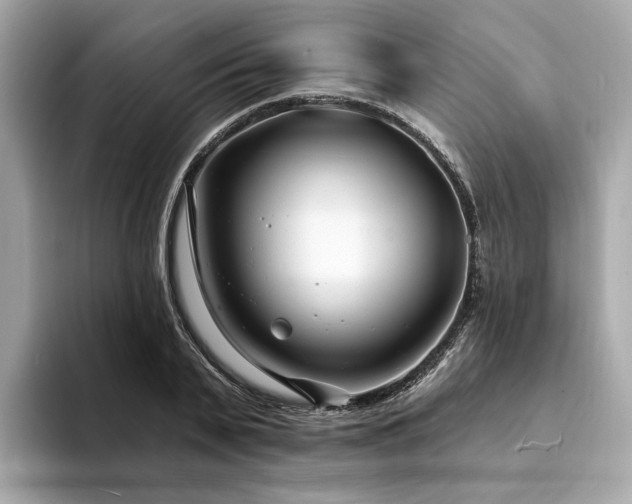 X0000094330791200711021409