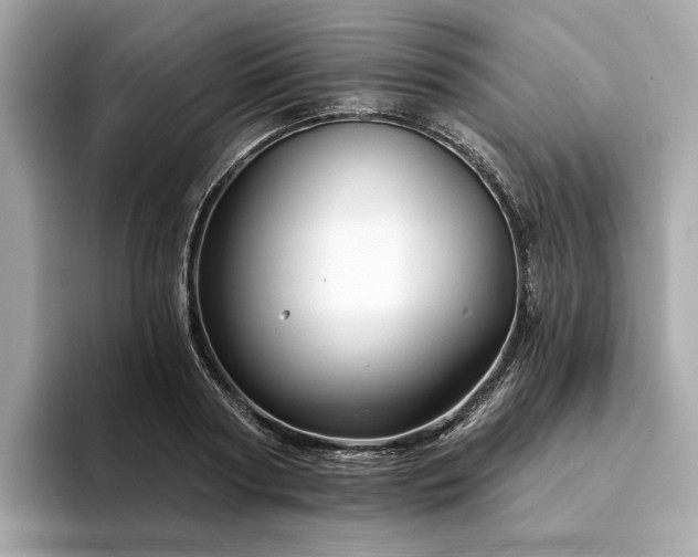 X0000094330794200711021409