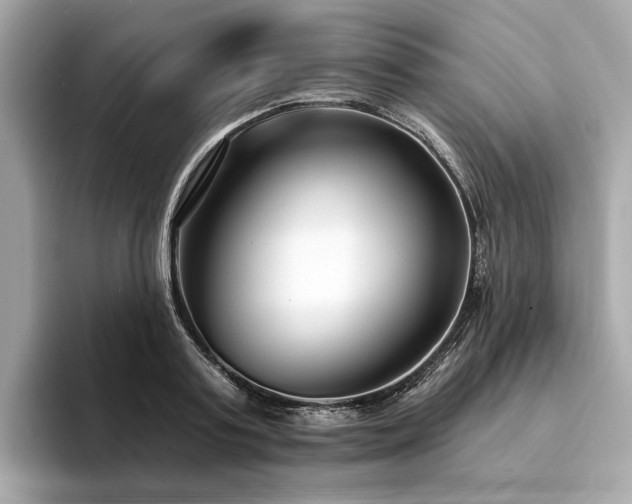 X0000094330795200711021409