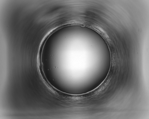 X0000094330796200711021409