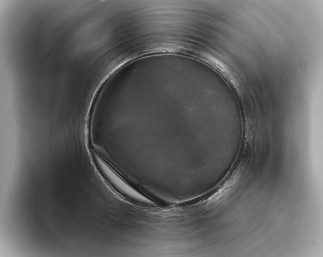 X0000094330802200711021409