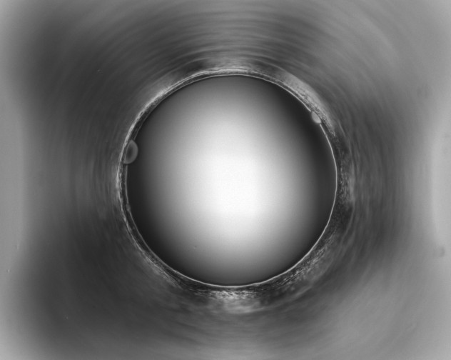 X0000094330805200711021409