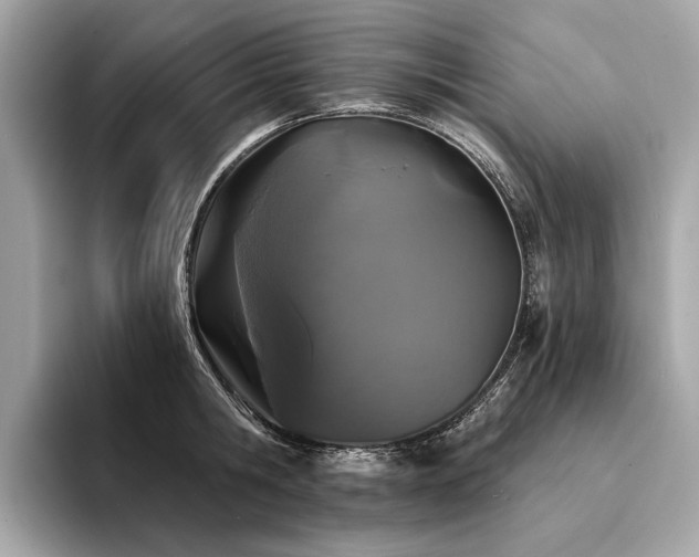 X0000094330806200711021409