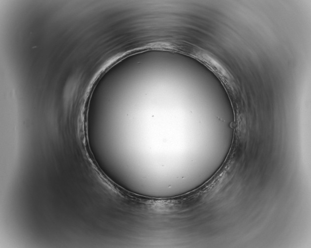 X0000094330808200711021409