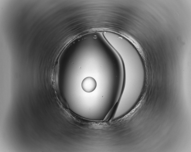 X0000094330809200711021409