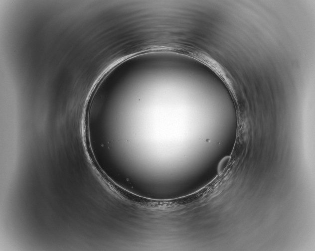X0000094330811200711021409