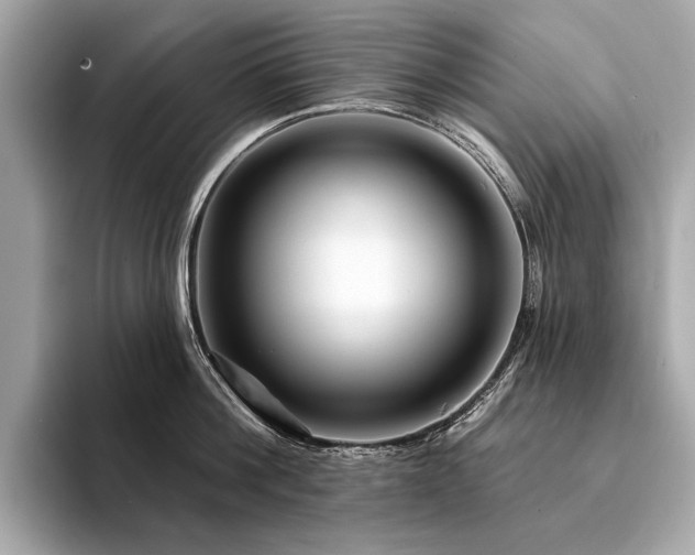 X0000094330812200711021409
