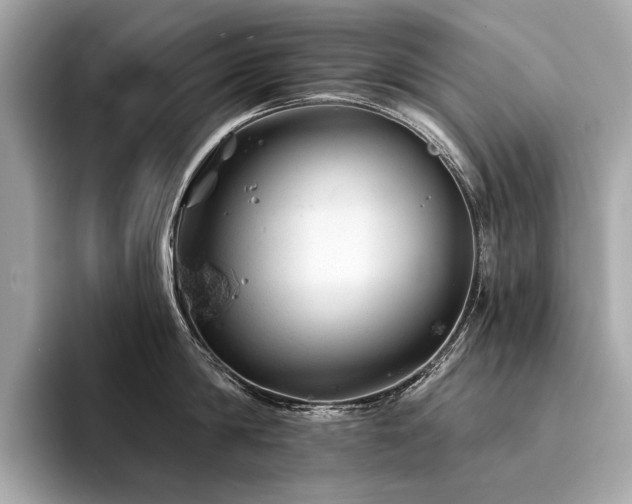 X0000094330814200711021409