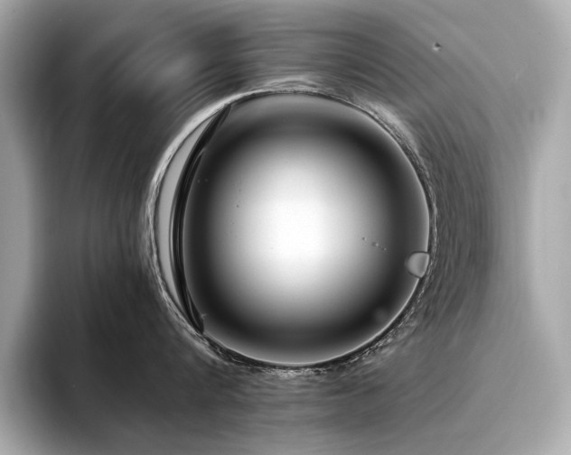 X0000094330816200711021409