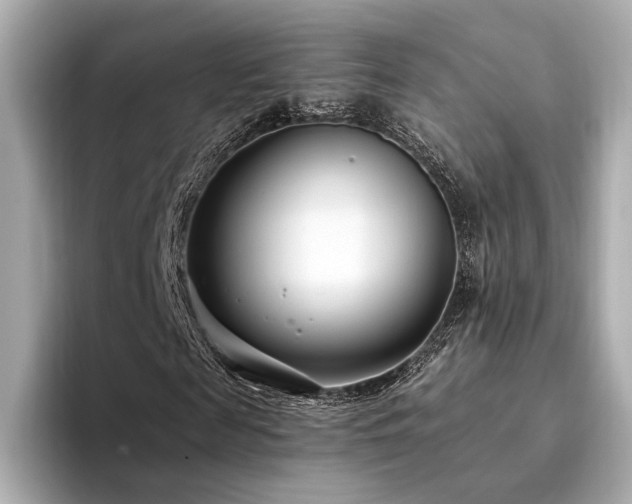 X0000094330817200711021408