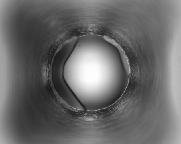 X0000094330818200711021408