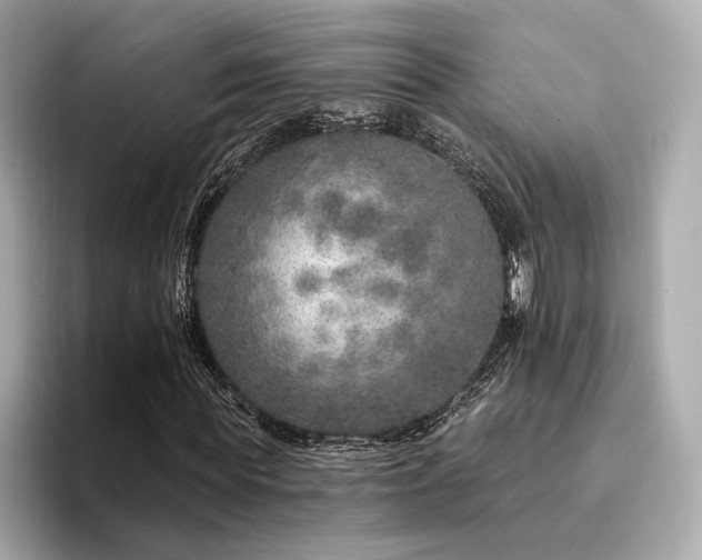X0000094330819200711021408