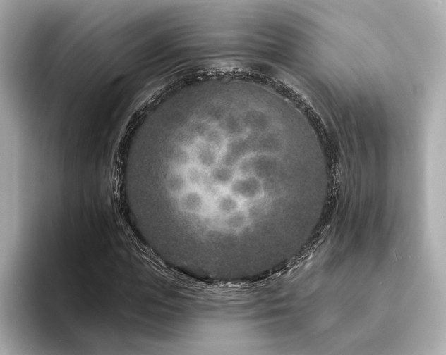 X0000094330823200711021408