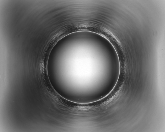 X0000094330825200711021408