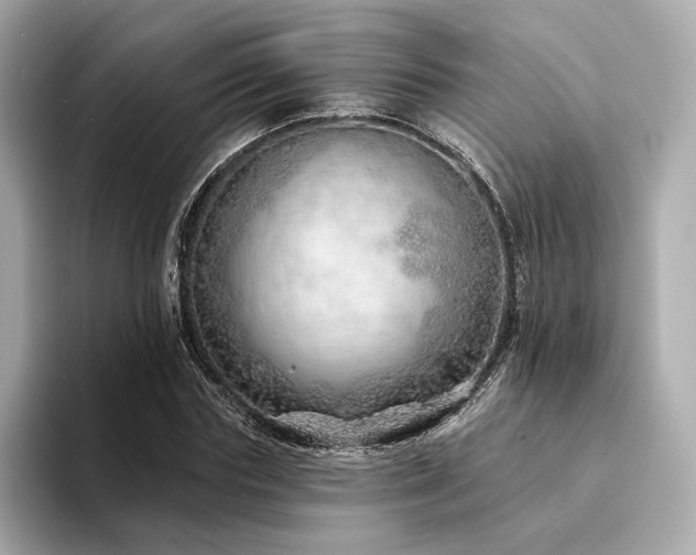 X0000094330827200711021408