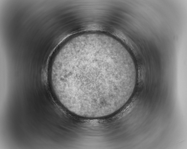X0000094330828200711021408