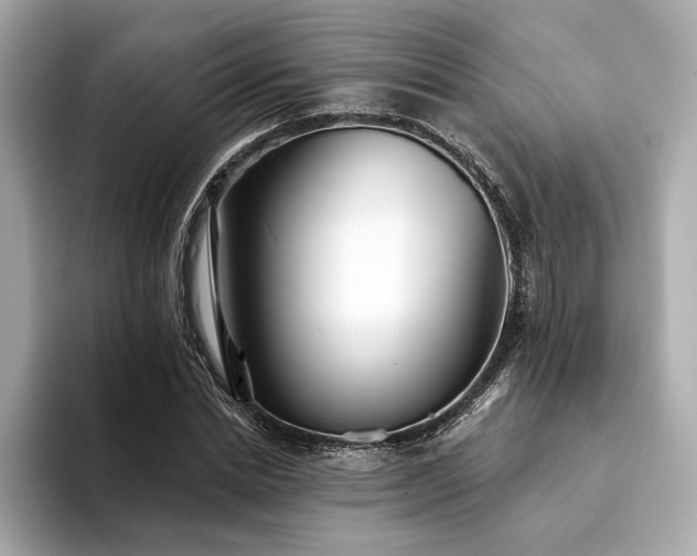 X0000094330830200711021408