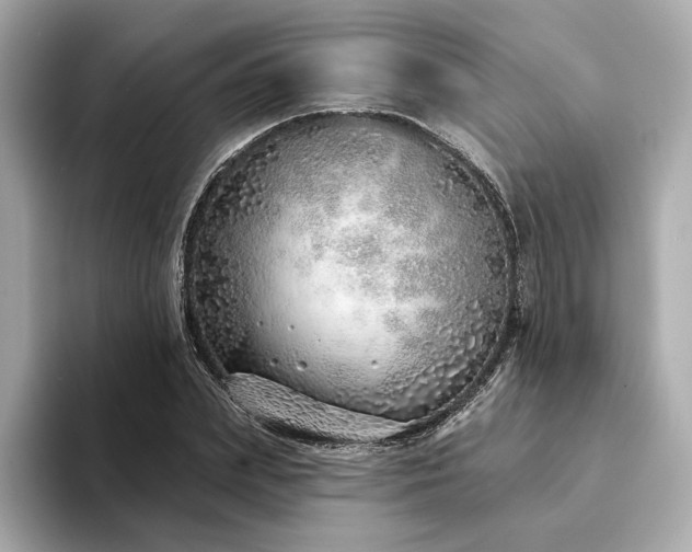 X0000094330831200711021408