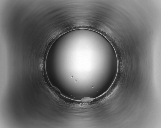 X0000094330833200711021408