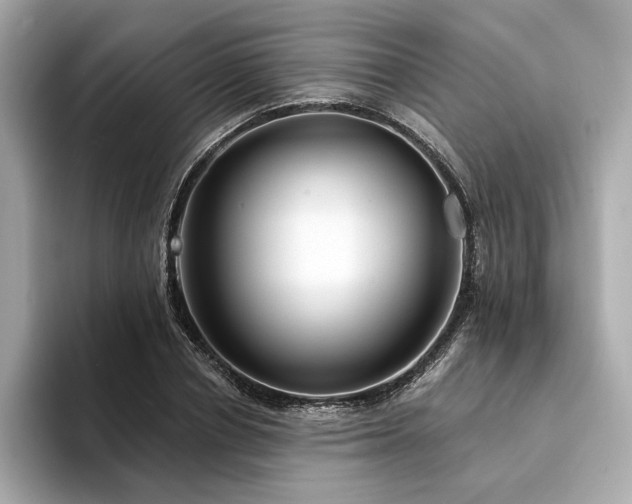 X0000094330834200711021408